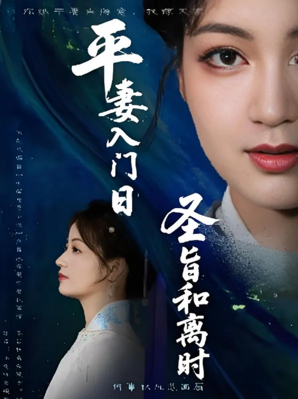平妻入门日圣旨和离时海报