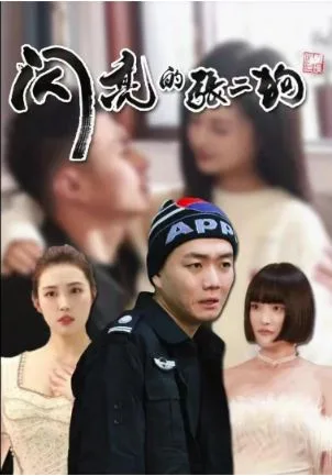 闪亮的张二狗(二狗别跑)海报