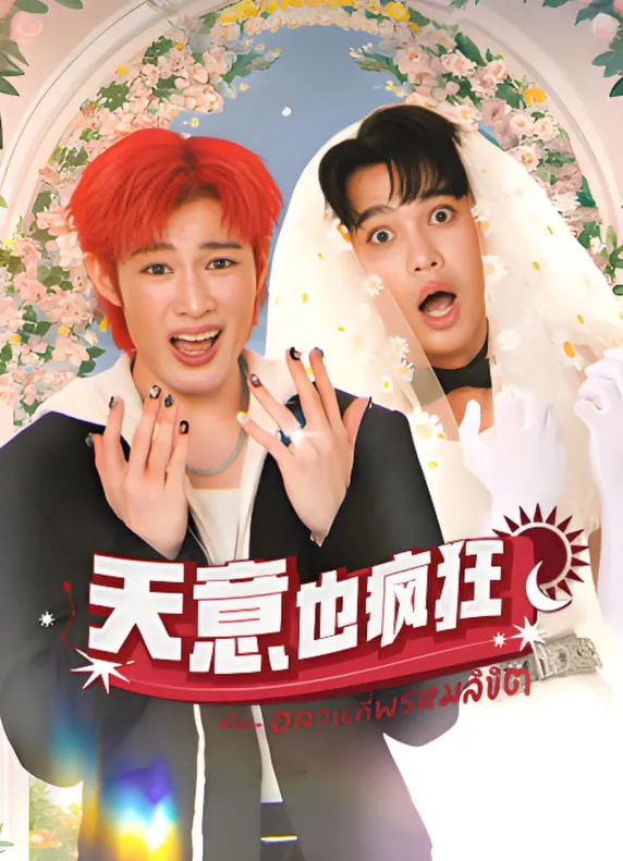 天意也疯狂海报