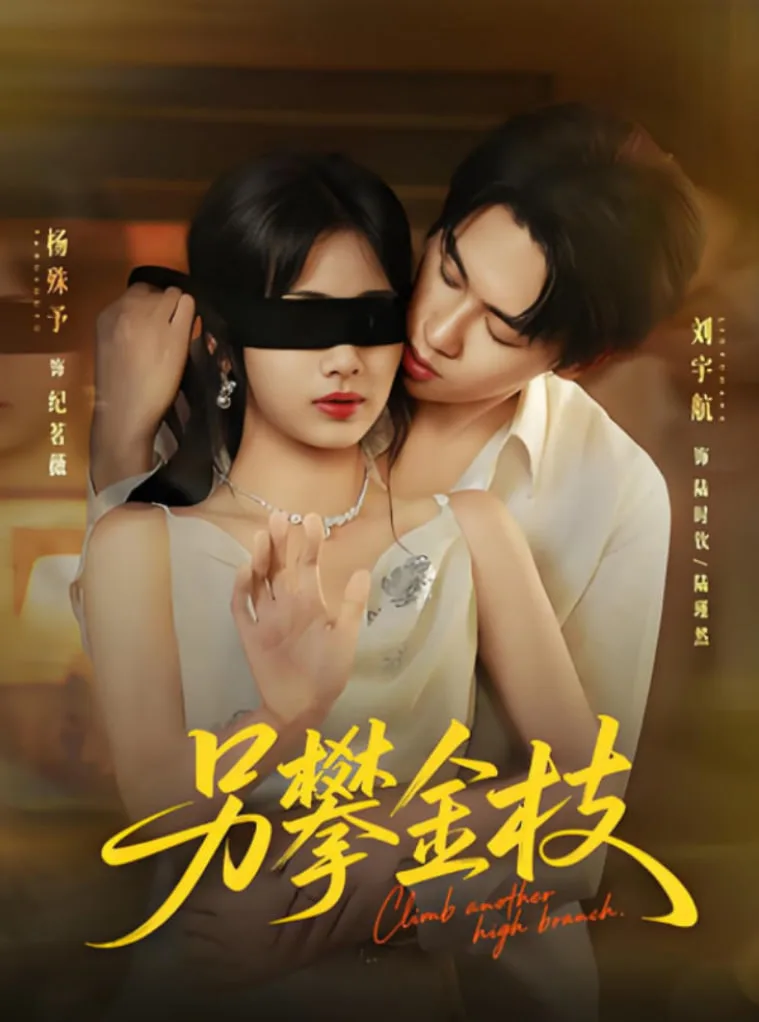 另攀金枝海报