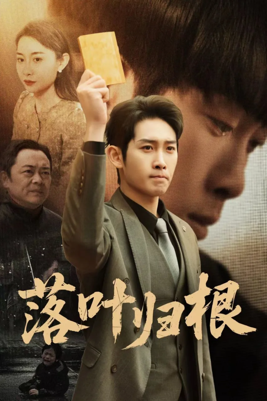 新落叶归根海报