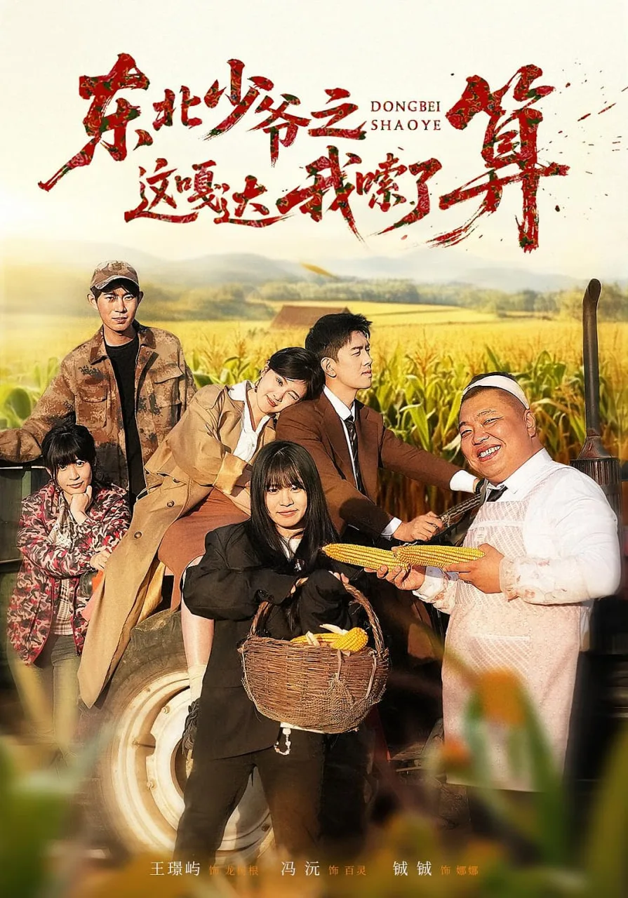东北少爷之这嘎达我嗦了算海报