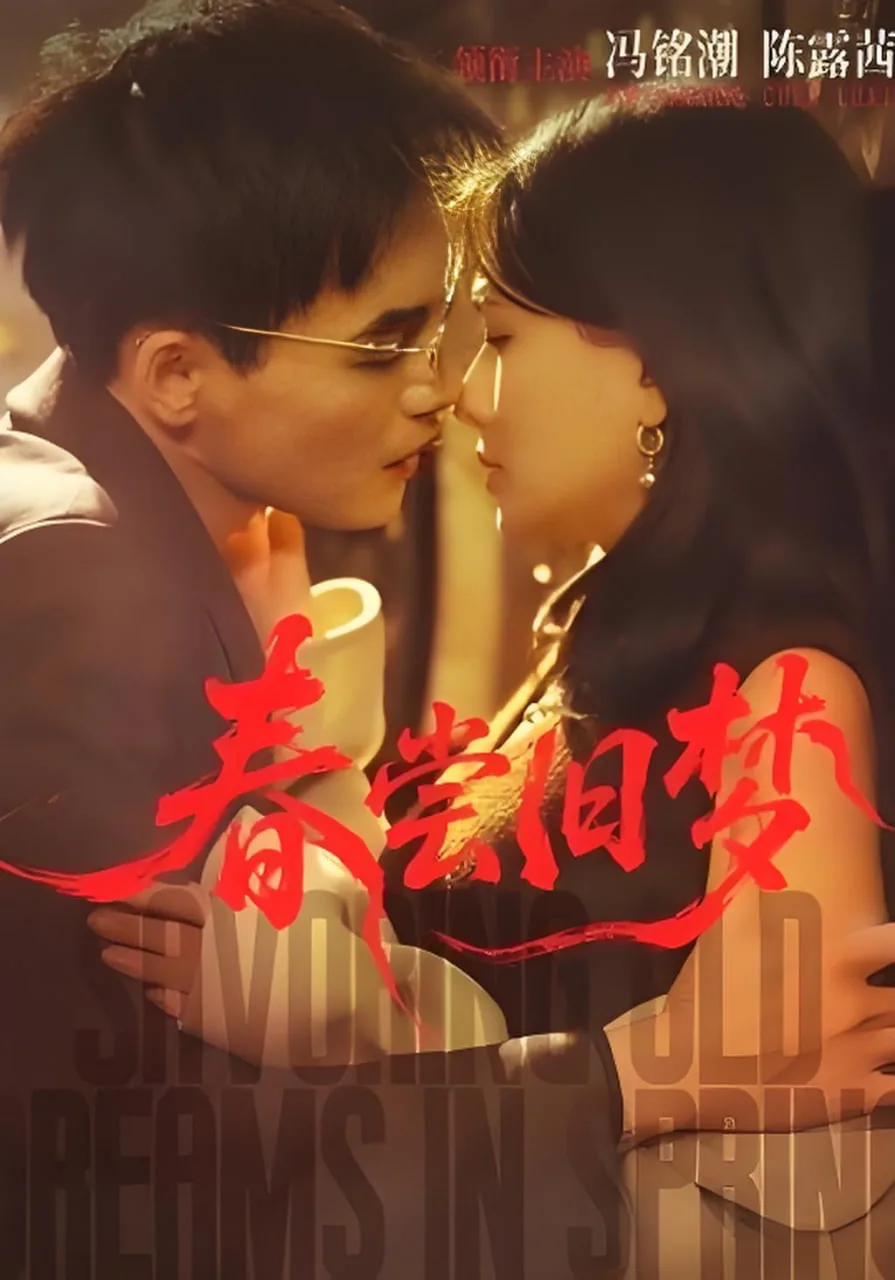 春尝旧梦海报