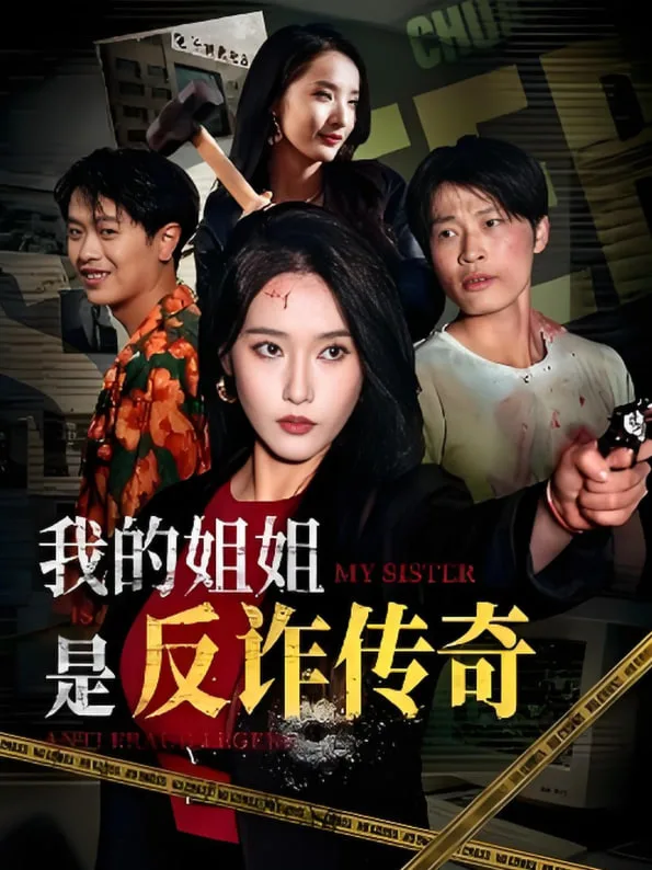 我的姐姐是反诈传奇海报