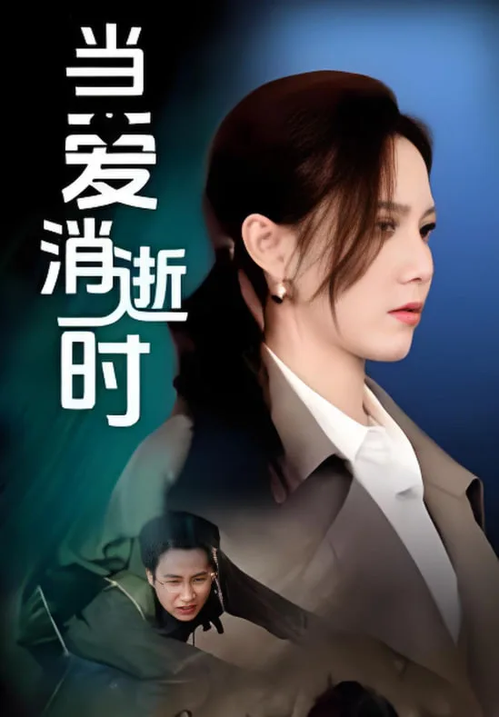 当爱消逝时海报