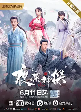 夜凛神探 第一季海报