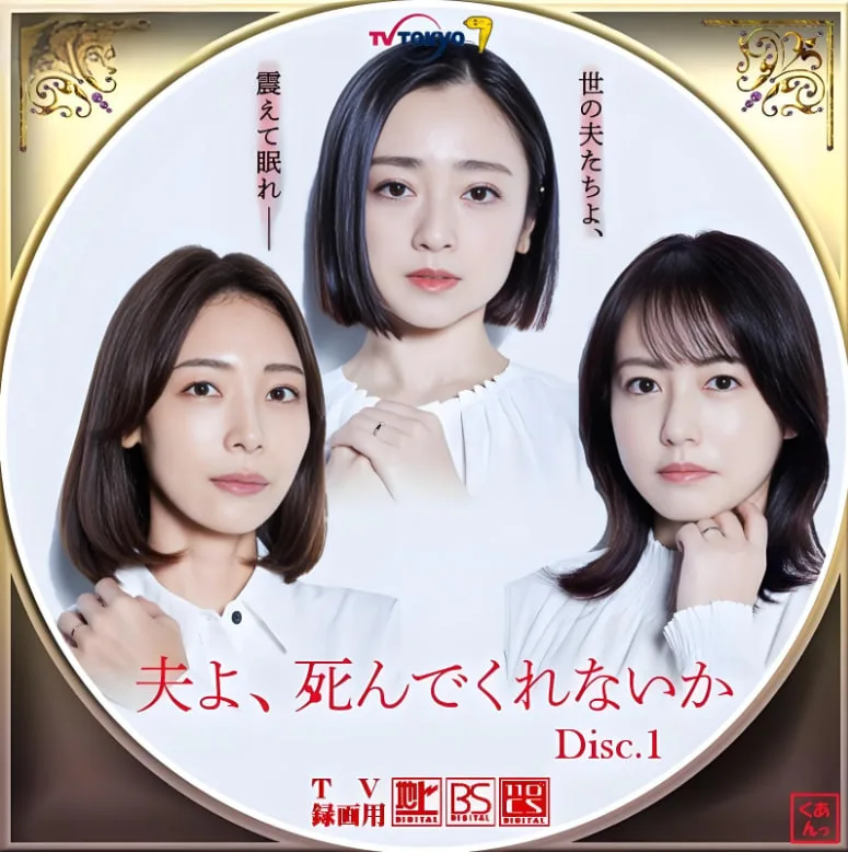 老公啊，你能去死吗海报