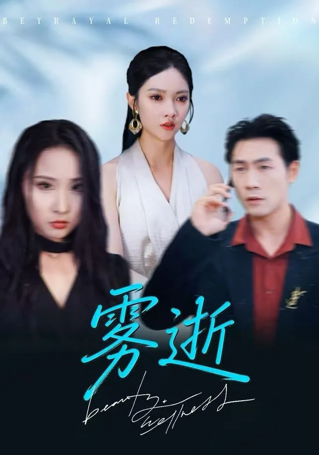 雾逝海报