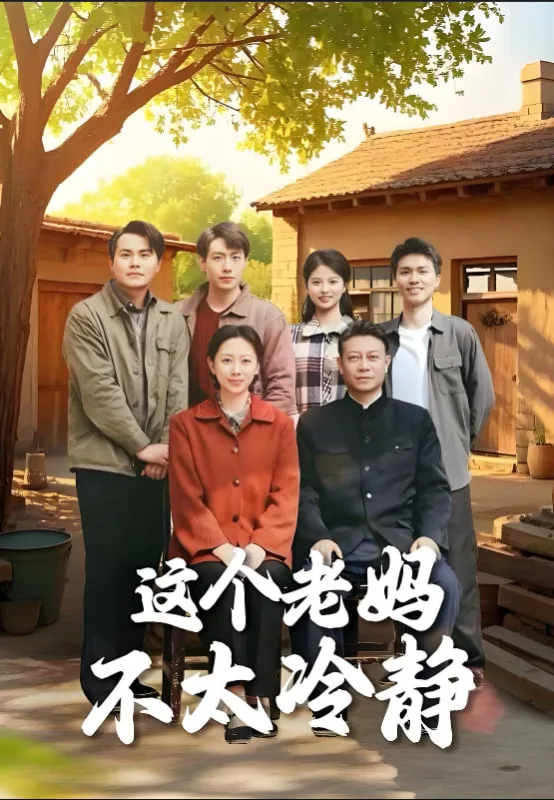 这个老妈不太冷静海报