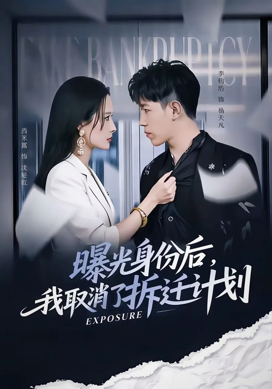 曝光身份后，我取消了拆迁计划海报