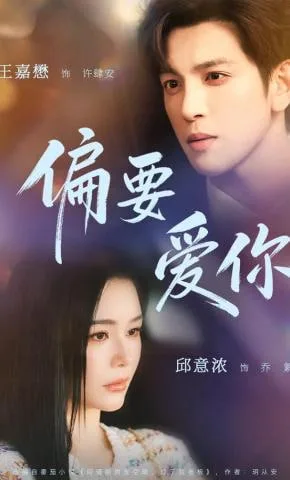偏要爱你海报