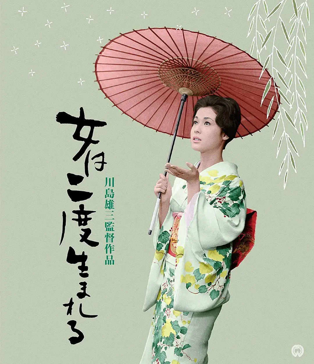 女人二度出生海报