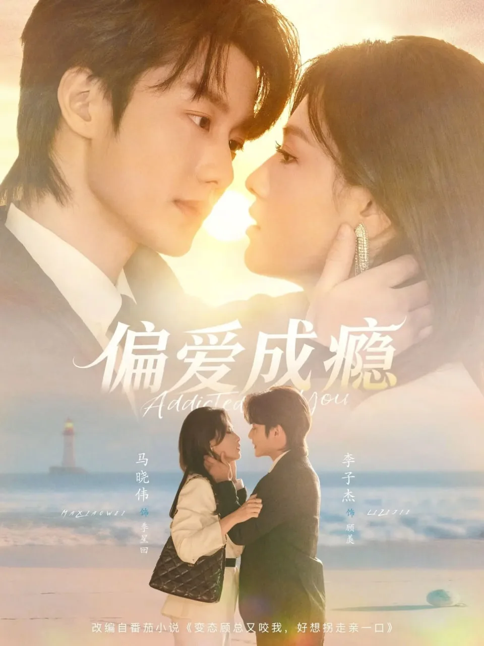 偏爱成瘾海报