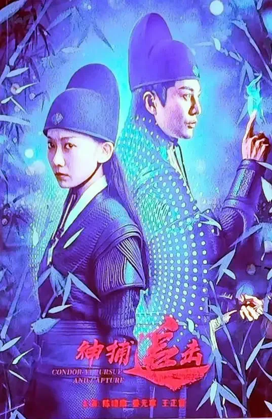 神捕追击海报