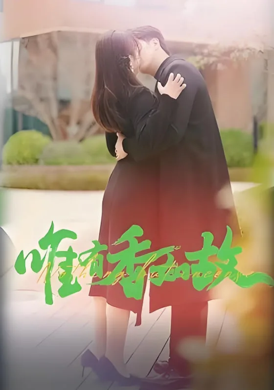 唯有香如故海报