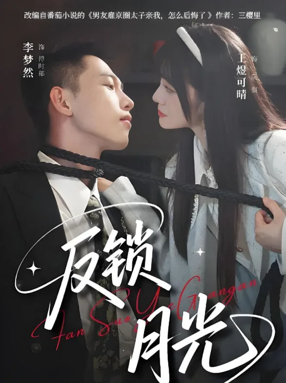 反锁月光海报