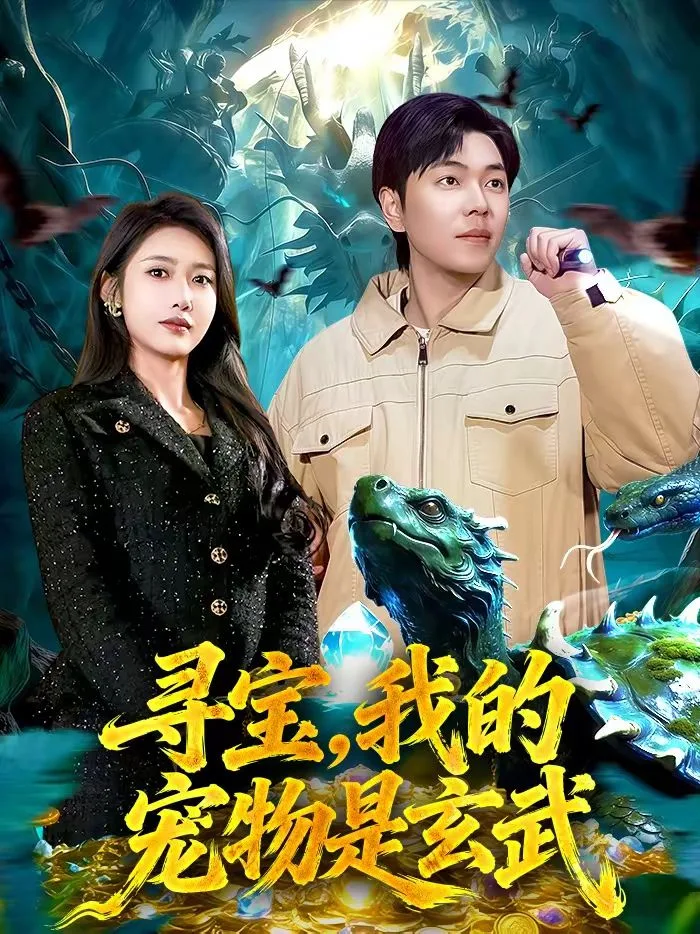 寻宝，我的宠物是玄武海报