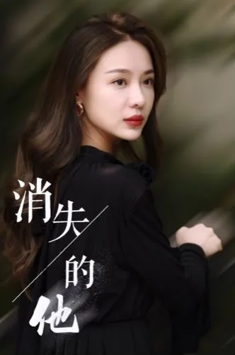 消失的他海报