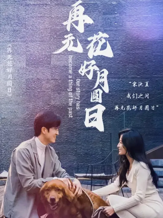 再无花好月圆日海报