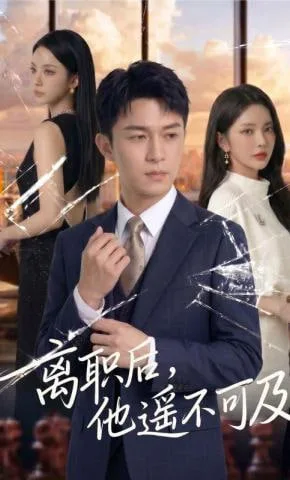 离职后，他遥不可及海报