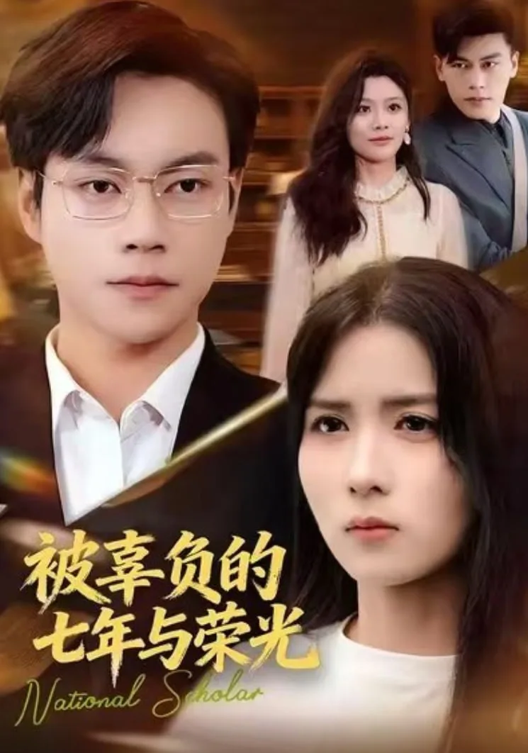 被辜负的七年与荣光海报