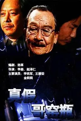 真假哥窑瓶海报