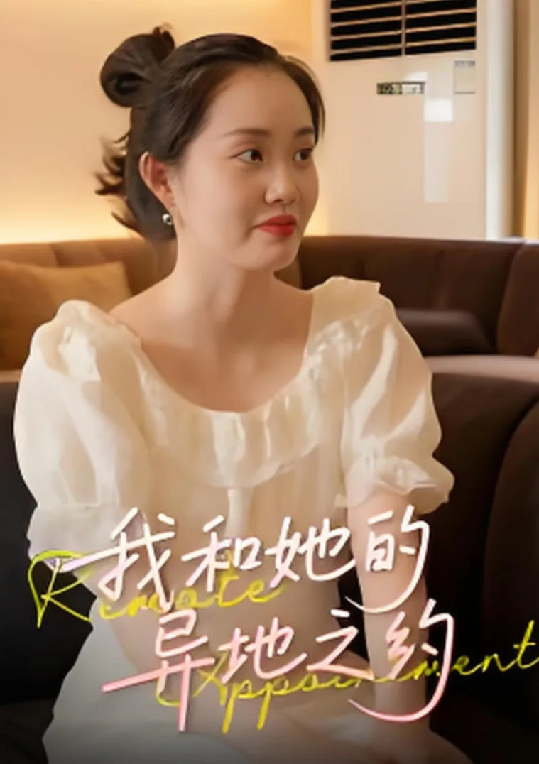 我和她的异地之约海报