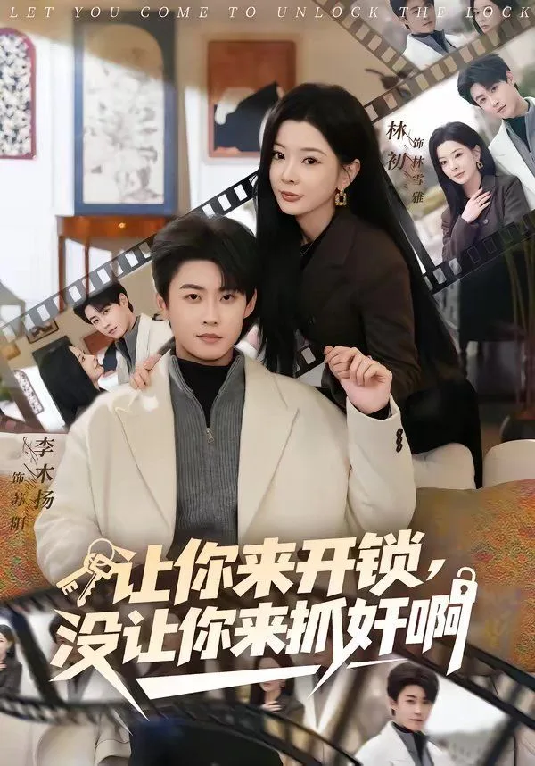 让你来开锁，没让你来抓奸啊海报