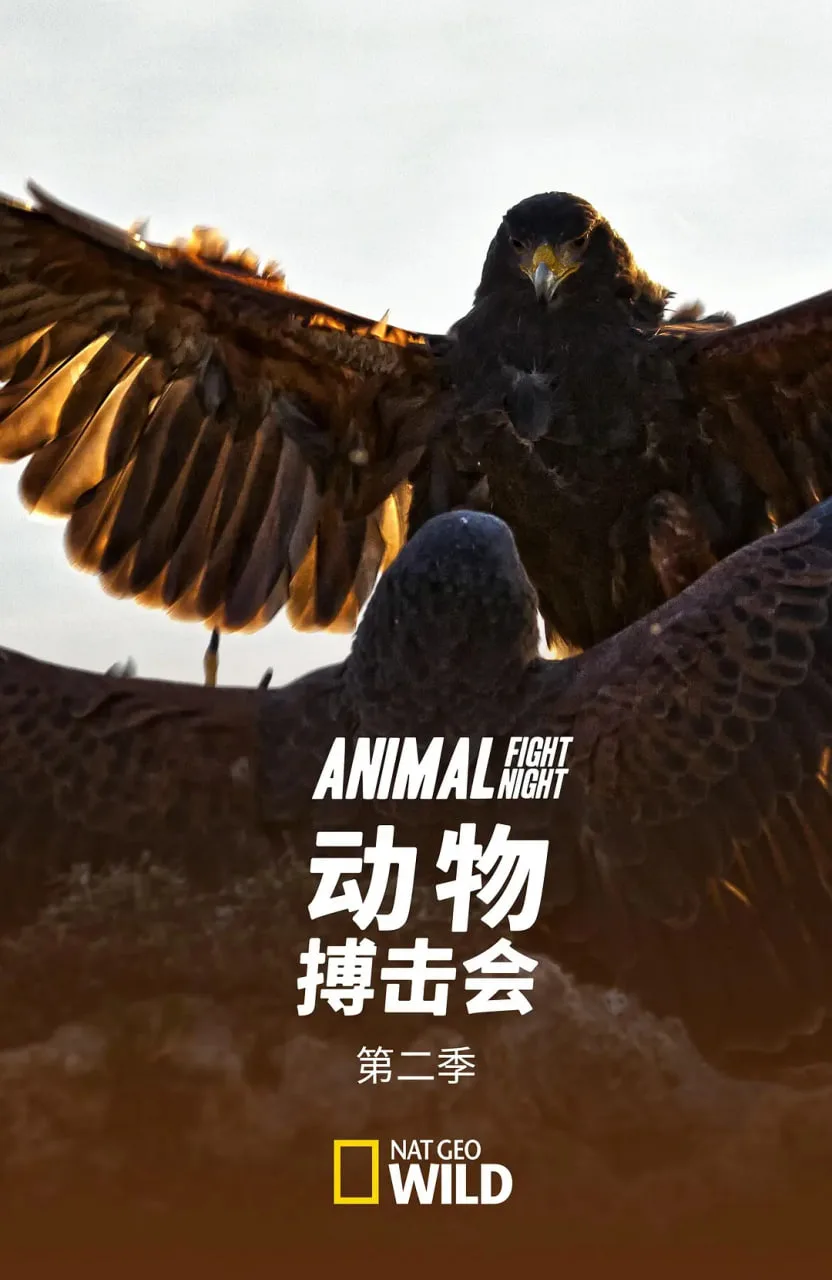 动物搏击会 第二季海报