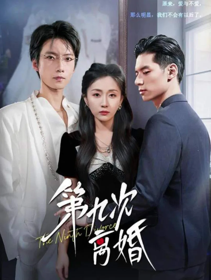 第九次离婚海报