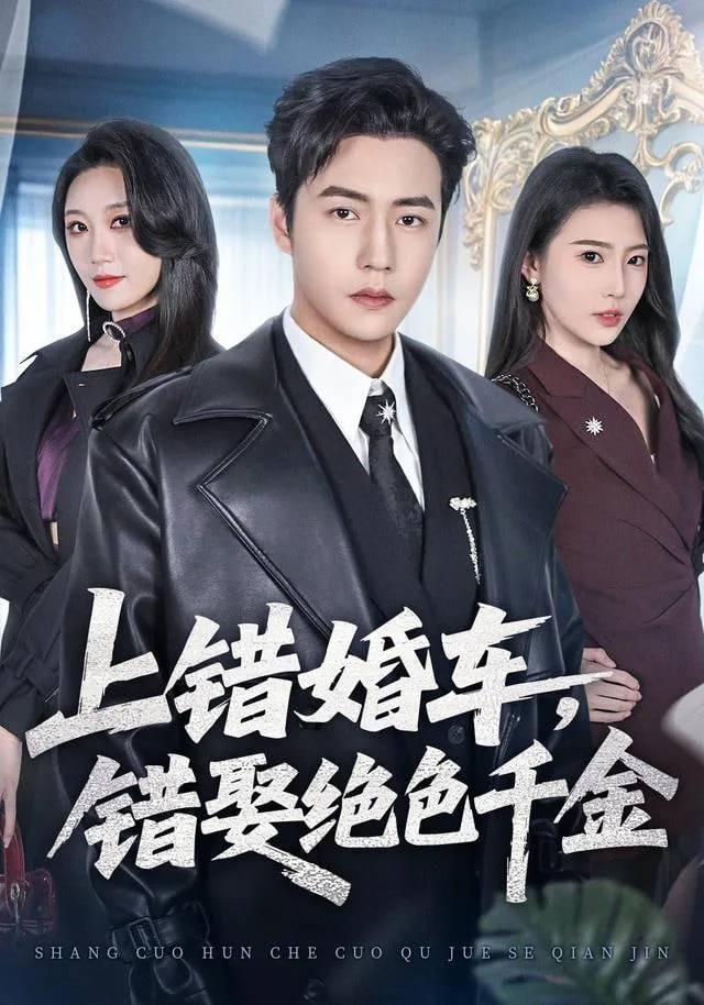 上错婚车，错娶绝色千金海报