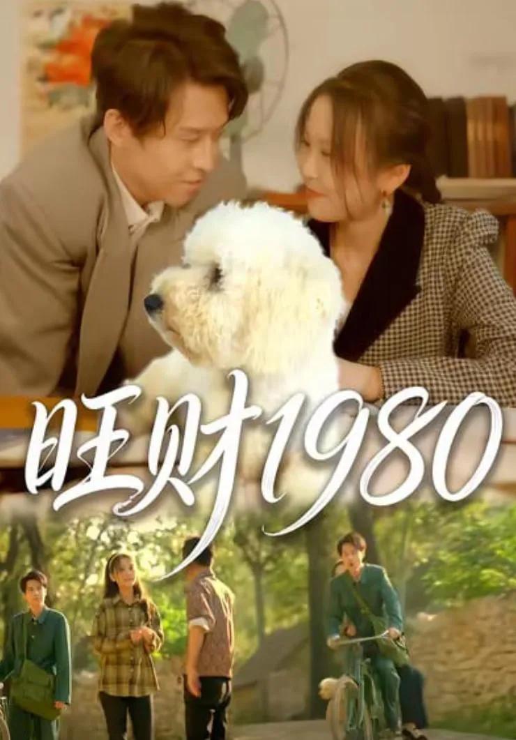 旺财1980海报