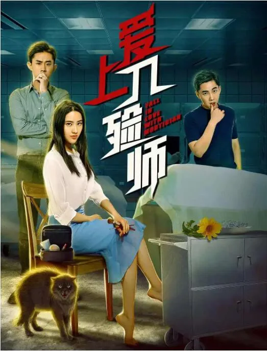 爱上入殓师海报