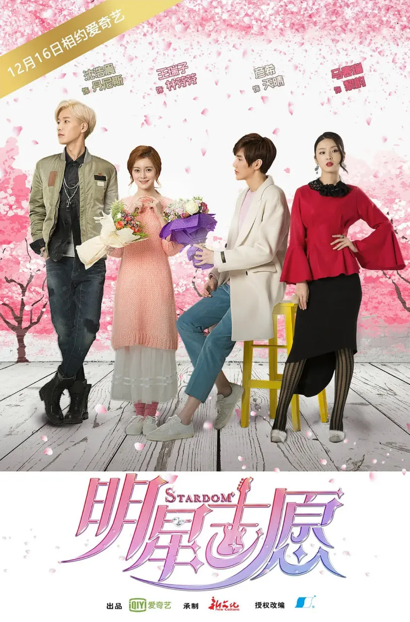 明星志愿海报