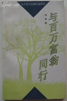 与百万富翁同行海报