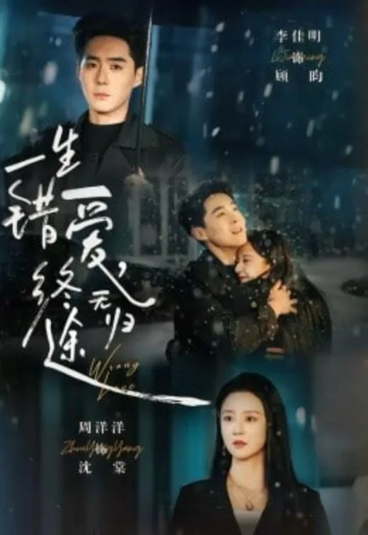 一生错爱，终无归途海报