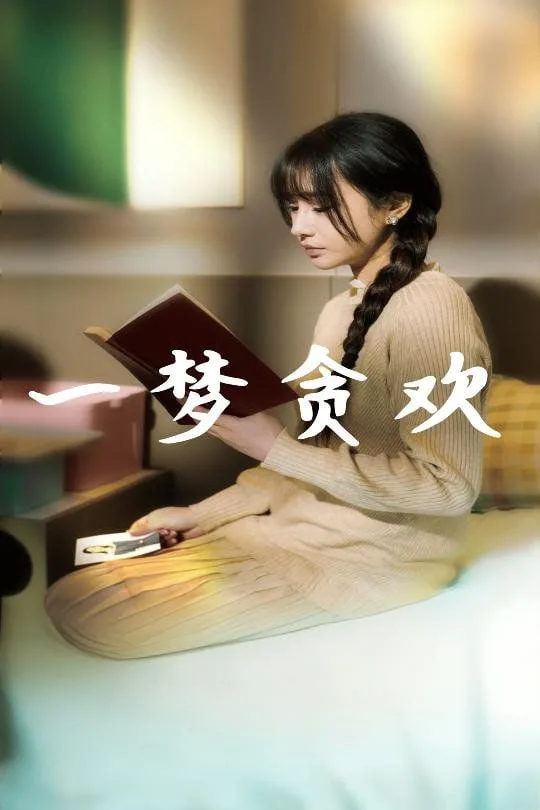 一梦贪欢海报