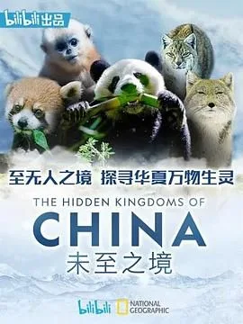 未至之境 普通话版海报