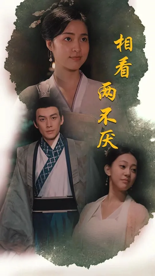 相看两不厌(这个王妃不好惹)海报