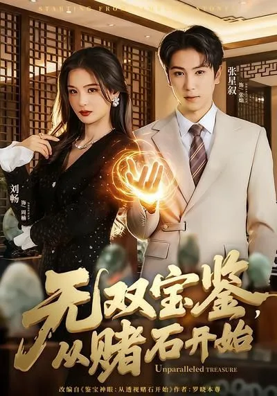 无双宝鉴，从赌石开始海报