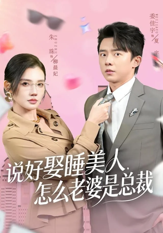 说好娶睡美人，怎么老婆是总裁海报