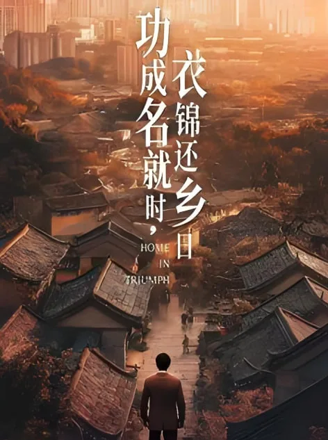 功成名就时衣锦还乡日海报