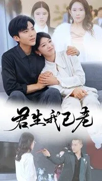 君生我已老海报