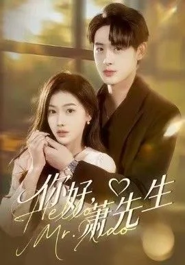 你好，萧先生海报