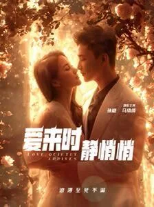 爱来时静悄悄海报
