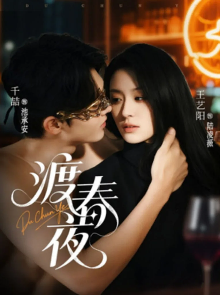 渡春夜海报