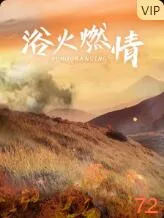 浴火燃情海报