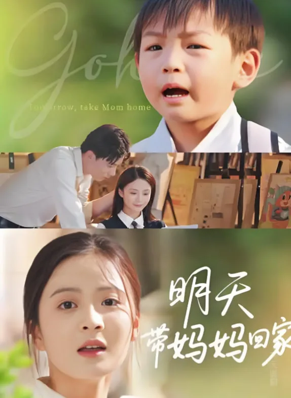 明天带妈妈回家海报
