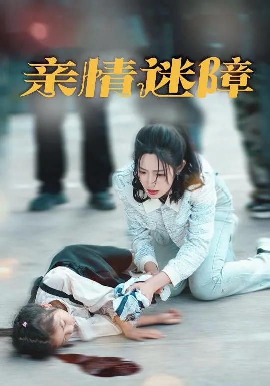 亲情迷障海报