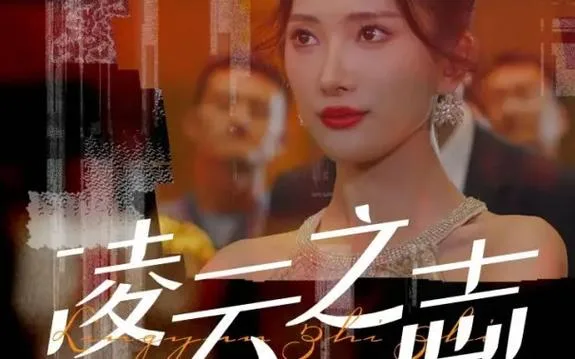 凌云之志海报